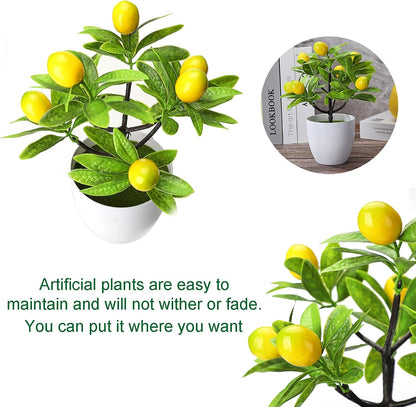 2 Pcs Artificial Lemon Tree, Mini Potted Plants Artificial Lemon Tree Bonsai Fake Green Pot Plants Artificial Plants in Pots, 3.78x9.45in, 210316XU02 22TZ 10055 2256425271