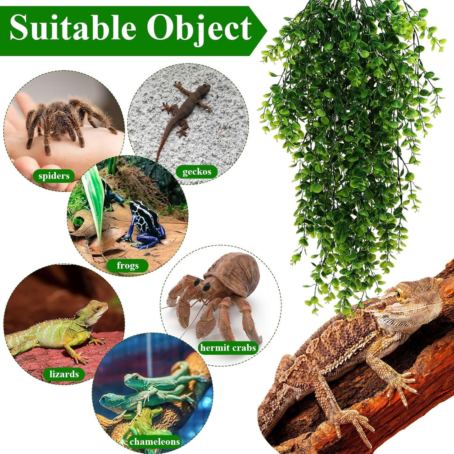 8 Pack Reptile Plants Terrarium Hanging Plant Vine Boston Climbing Terrarium Plant with Suction Cup for Bearded Dragons Lizard Crested Gecko Snake Crab Tank(Petite Leaf Series,Multiple Green)