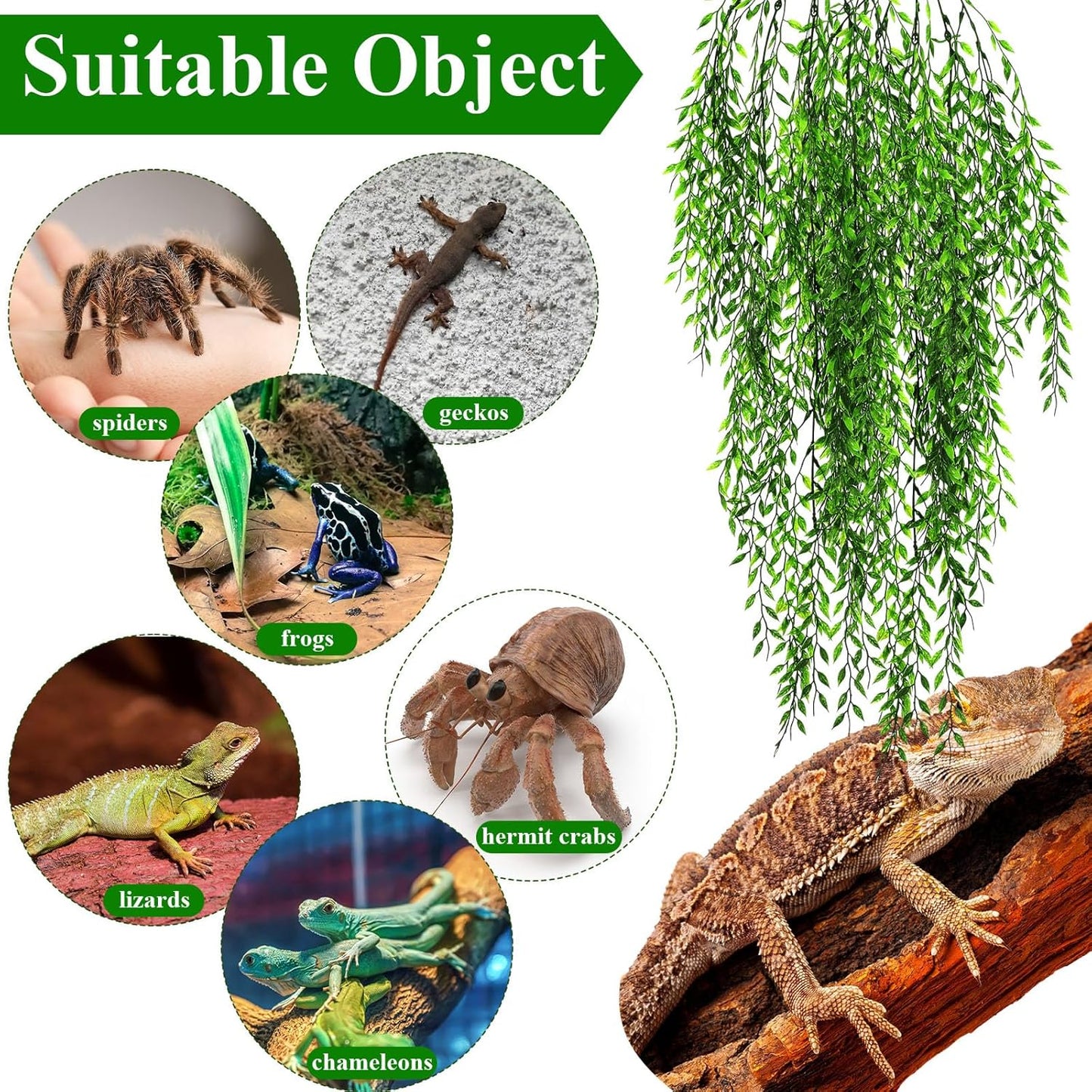 8 Pack Reptile Plants Terrarium Hanging Plant Vine Boston Climbing Terrarium Plant with Suction Cup for Bearded Dragons Lizard Crested Gecko Snake Crab Tank(Petite Leaf Series,Multiple Green)