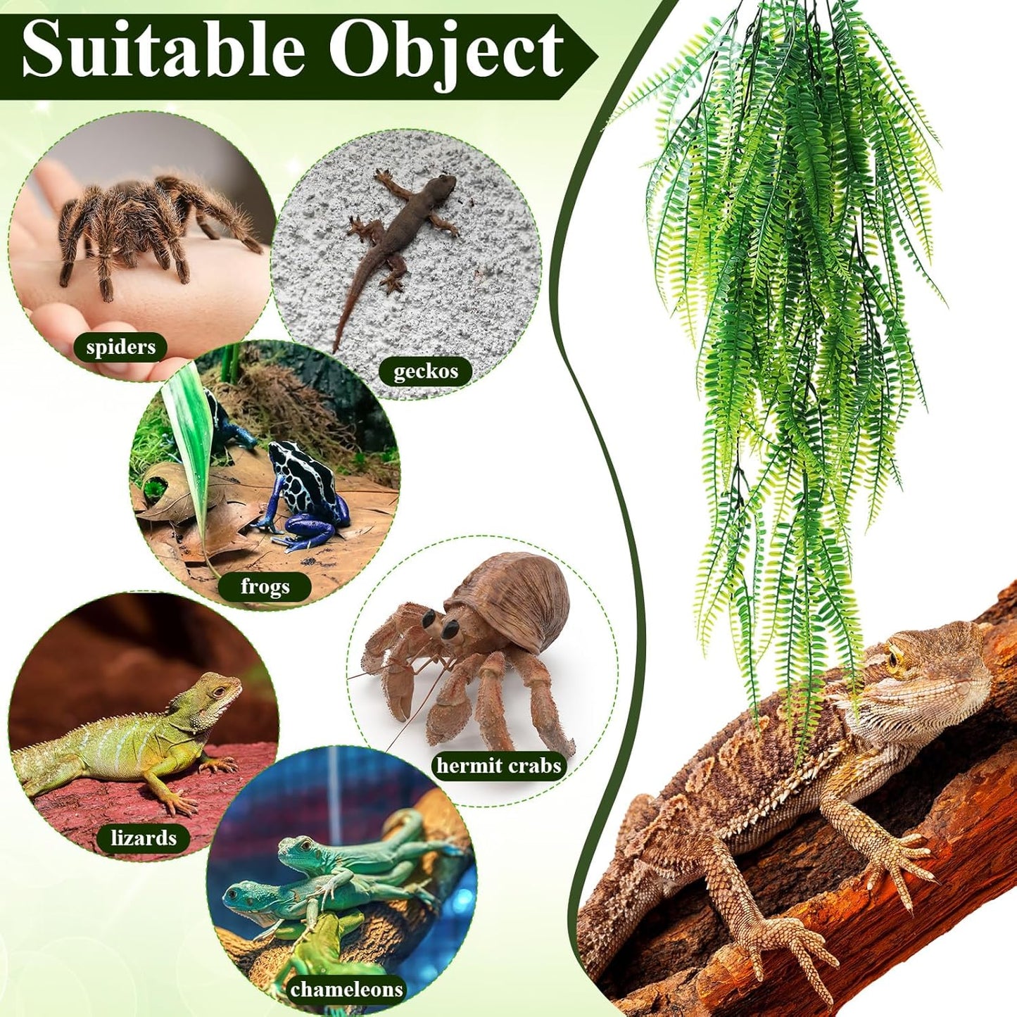 8 Pack Reptile Plants Terrarium Hanging Plant Vine Boston Climbing Terrarium Plant with Suction Cup for Bearded Dragons Lizard Crested Gecko Snake Crab Tank(Petite Leaf Series,Multiple Green)