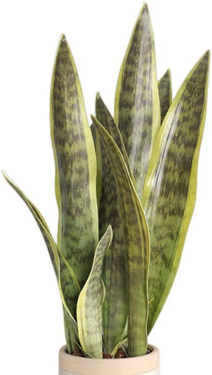 Fake Snake Plant 16.5" Artificial Plant Fake Sansevieria for Home Office Store Decoration,Without Vase (3Pcs, Green)