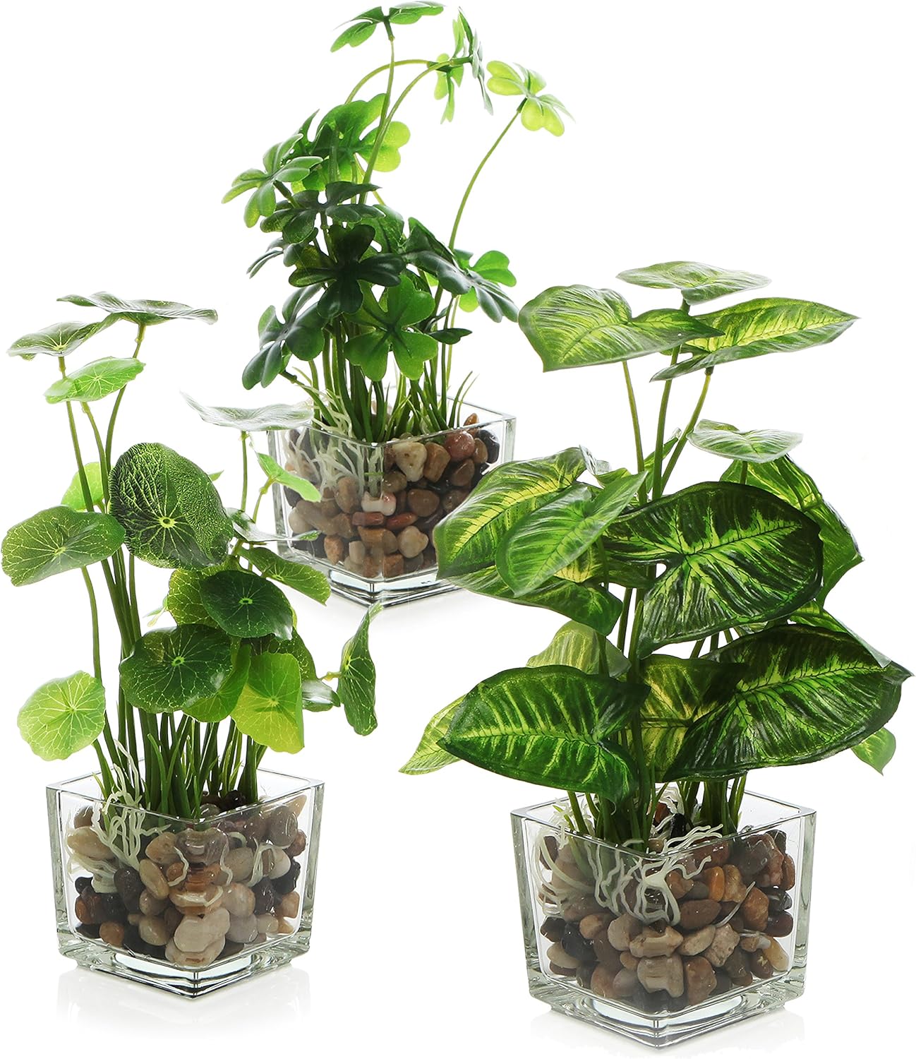 MyGift Artificial Rosemary Eucalyptus and Boxwood Plants Potted in Clear Glass Square Pots, Assorted Faux Greenery Indoor Home Table Centerpiece Office Desk Decor, 3 Piece Set