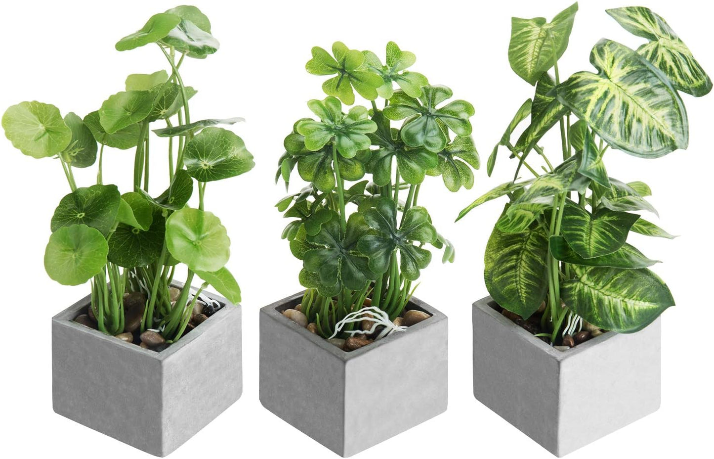 MyGift Artificial Rosemary Eucalyptus and Boxwood Plants Potted in Clear Glass Square Pots, Assorted Faux Greenery Indoor Home Table Centerpiece Office Desk Decor, 3 Piece Set