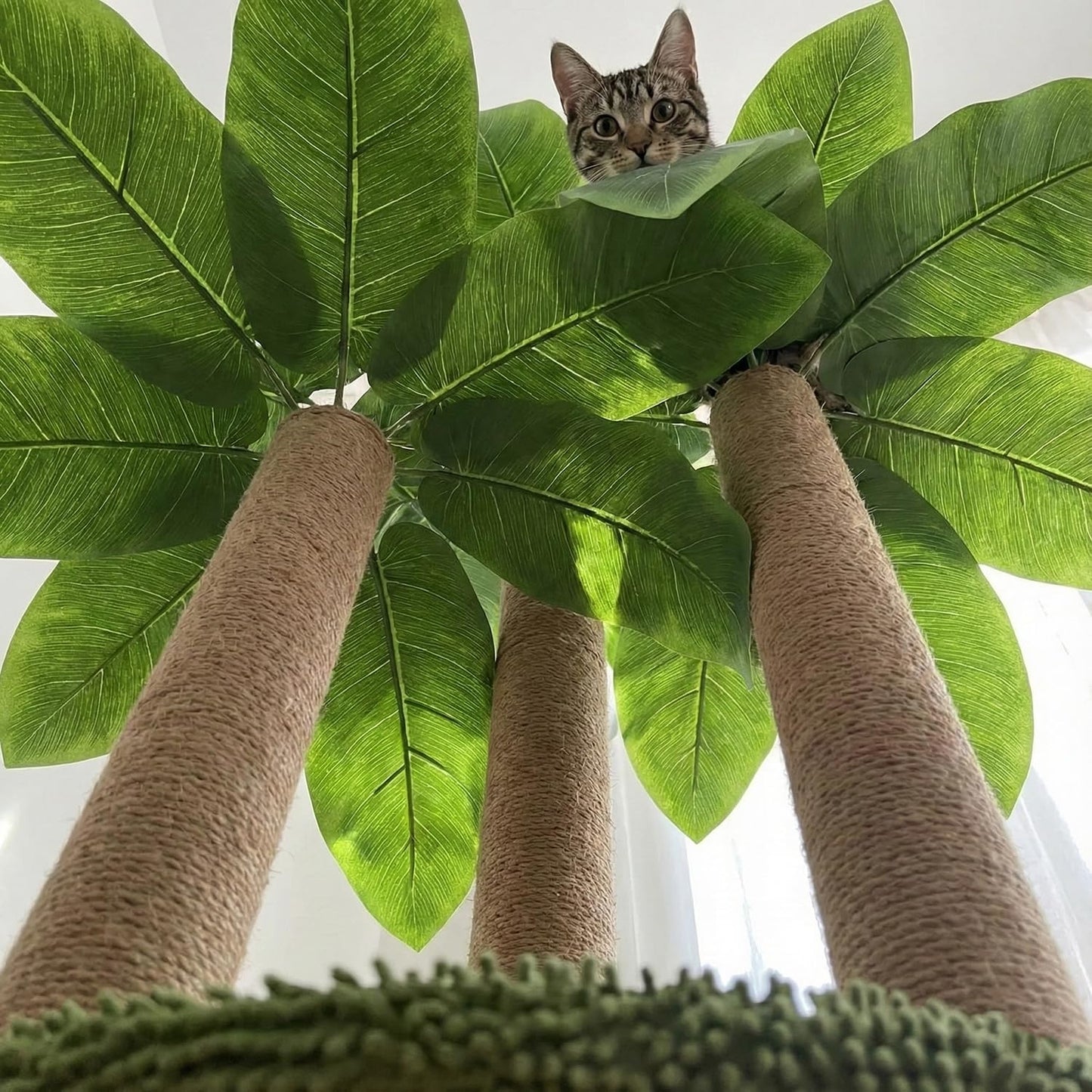 31.5Inch Cat Scratching Post,Cat Scratcher Tree with 3 Scratching Poles & 2 Interactive Dangling Balls,Cats Scratching Posts for Indoor Kitten & Adult Cats