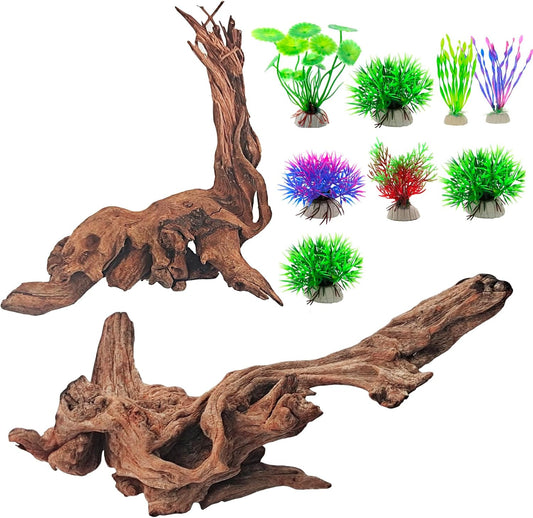 Natural Driftwood Decor for Aquarium Decorations Reptile Tank Accessories, Assorted Wood Branches Decorations on Reptile Fish Tank 2-10" 2 Pcs/4 Pcs/ 5 Pcs/ 6 Pcs (Pack of 6 (2 to 4 Inch))