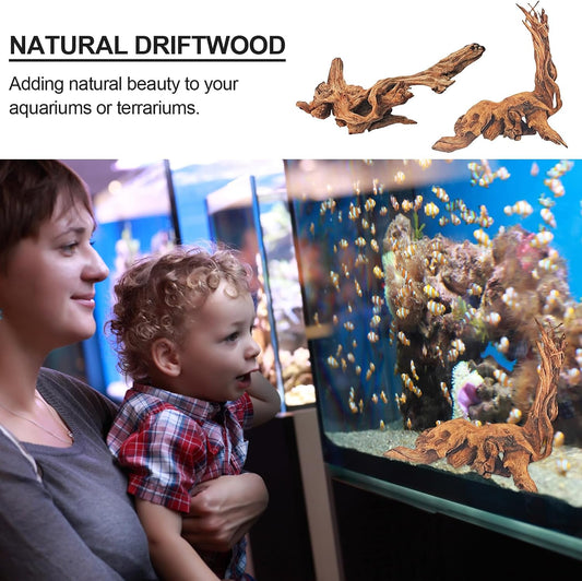 Natural Driftwood Decor for Aquarium Decorations Reptile Tank Accessories, Assorted Wood Branches Decorations on Reptile Fish Tank 2-10" 2 Pcs/4 Pcs/ 5 Pcs/ 6 Pcs (Pack of 6 (2 to 4 Inch))