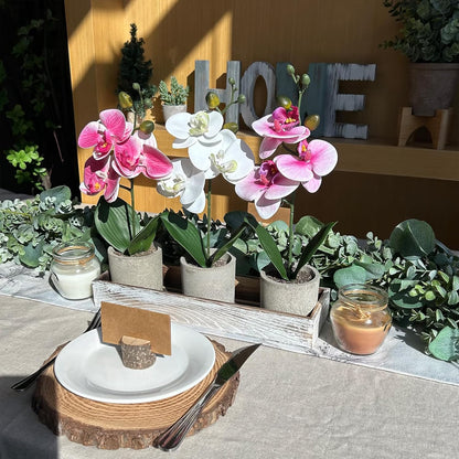 Set of 3 Small Artificial Orchid Potted Plants Arrangement with Rustic Wood Planter Box Real Touch Faux Phalaenopsis Moth Orchid Flowers in Pots for Home Office Desk Shelf Table Centerpiece