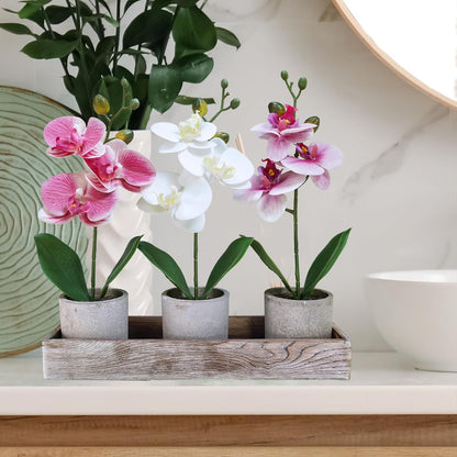 Set of 3 Small Artificial Orchid Potted Plants Arrangement with Rustic Wood Planter Box Real Touch Faux Phalaenopsis Moth Orchid Flowers in Pots for Home Office Desk Shelf Table Centerpiece