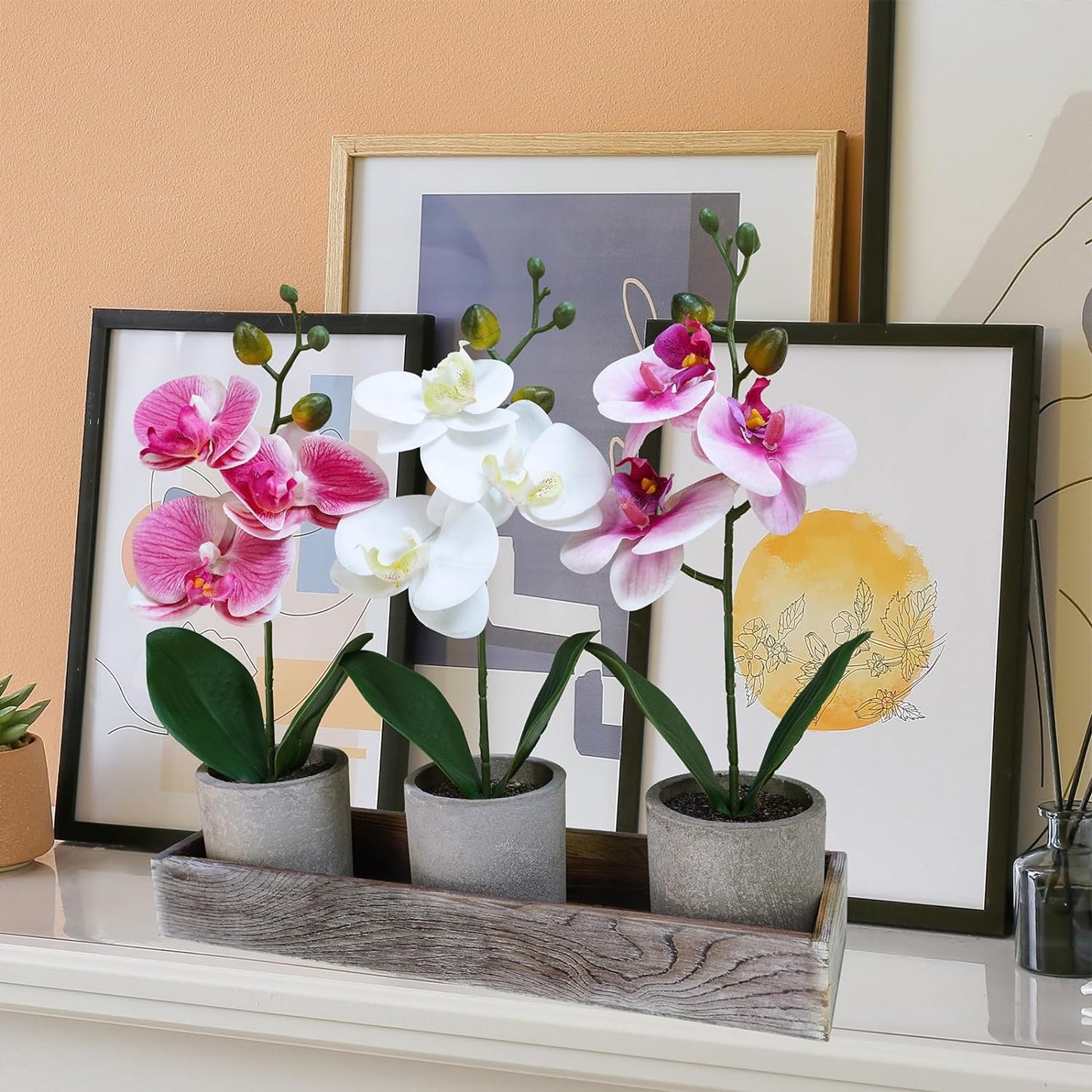 Set of 3 Small Artificial Orchid Potted Plants Arrangement with Rustic Wood Planter Box Real Touch Faux Phalaenopsis Moth Orchid Flowers in Pots for Home Office Desk Shelf Table Centerpiece