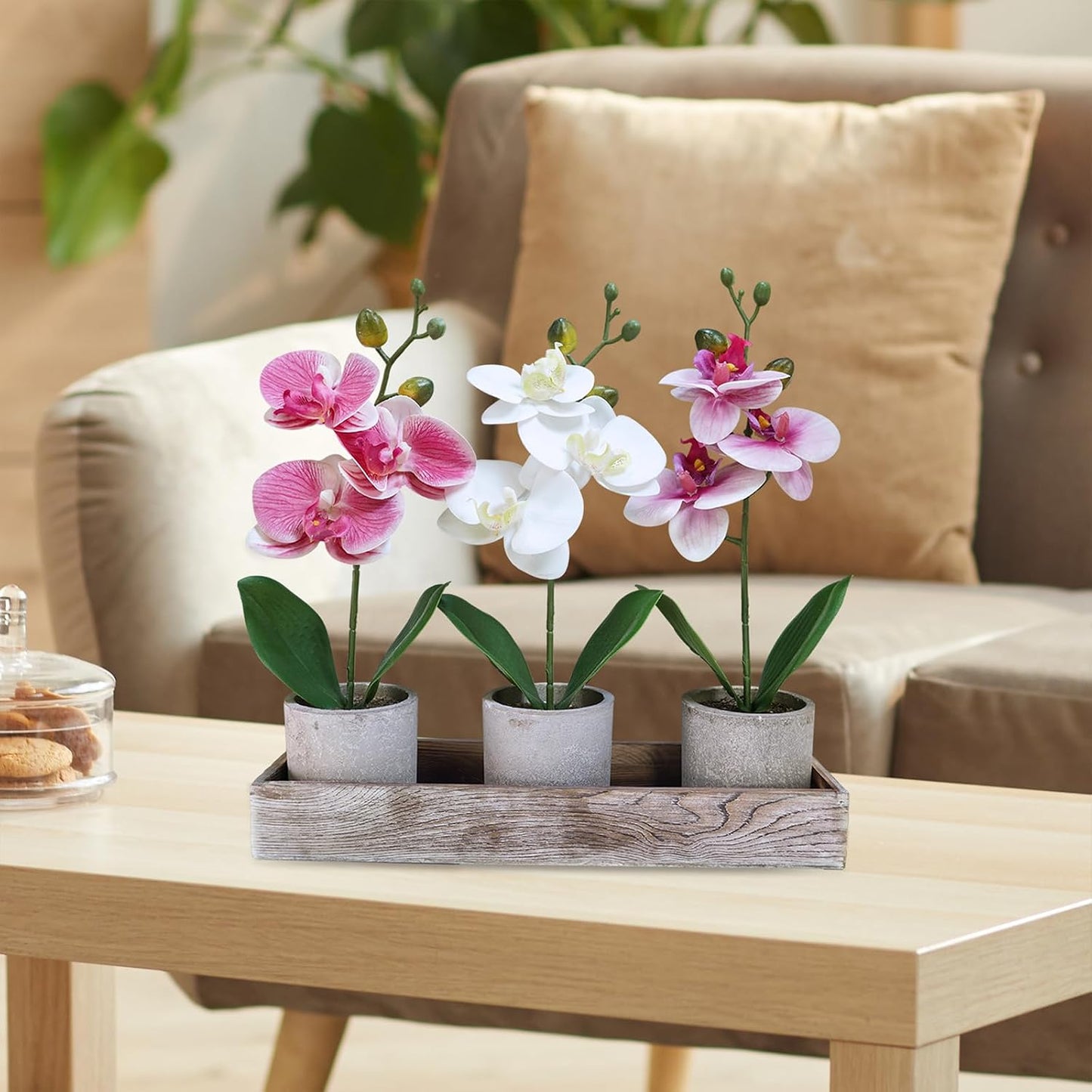 Set of 3 Small Artificial Orchid Potted Plants Arrangement with Rustic Wood Planter Box Real Touch Faux Phalaenopsis Moth Orchid Flowers in Pots for Home Office Desk Shelf Table Centerpiece