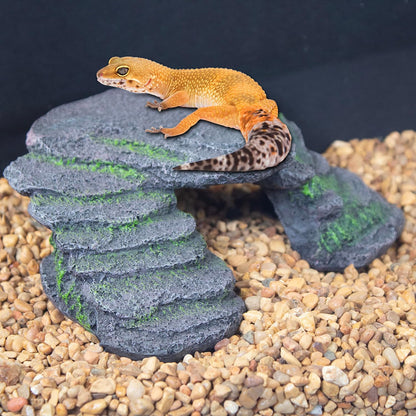 Reptology Shale Scape Step Ledge – Decorative Resin for Aquariums & Terrariums – Great for Reptiles, Amphibians, and Fish – Small