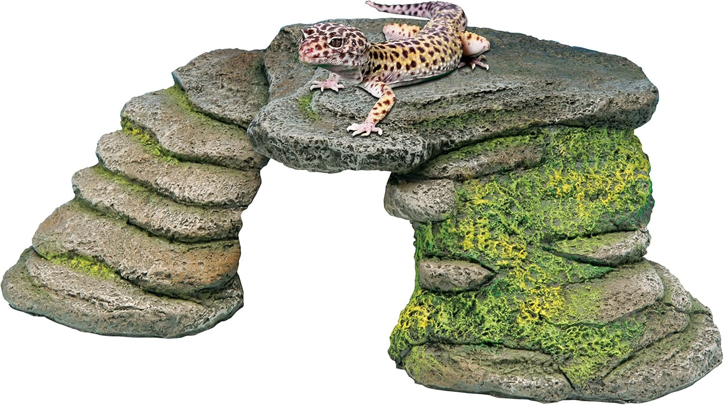 Reptology Shale Scape Step Ledge – Decorative Resin for Aquariums & Terrariums – Great for Reptiles, Amphibians, and Fish – Small