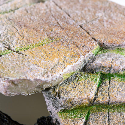 Reptology Shale Scape Step Ledge – Decorative Resin for Aquariums & Terrariums – Great for Reptiles, Amphibians, and Fish – Small