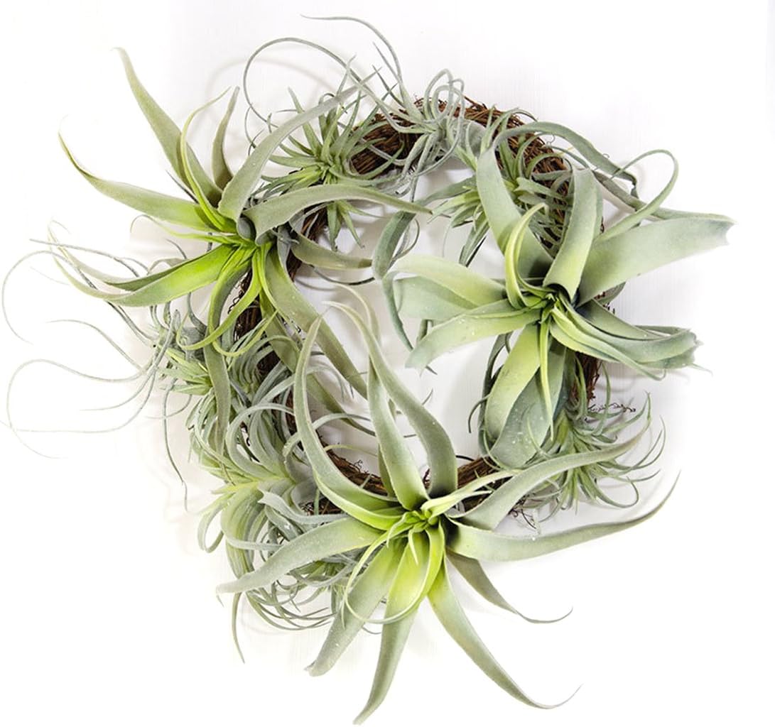 2PCS Artificial Flocking Tillandsia Air Plants Faux Succulents Bromeliads for Indoor/Outdoor Garden and Home Decor, Terrarium Decorations, Arrangements, Office, and Displays(Small)