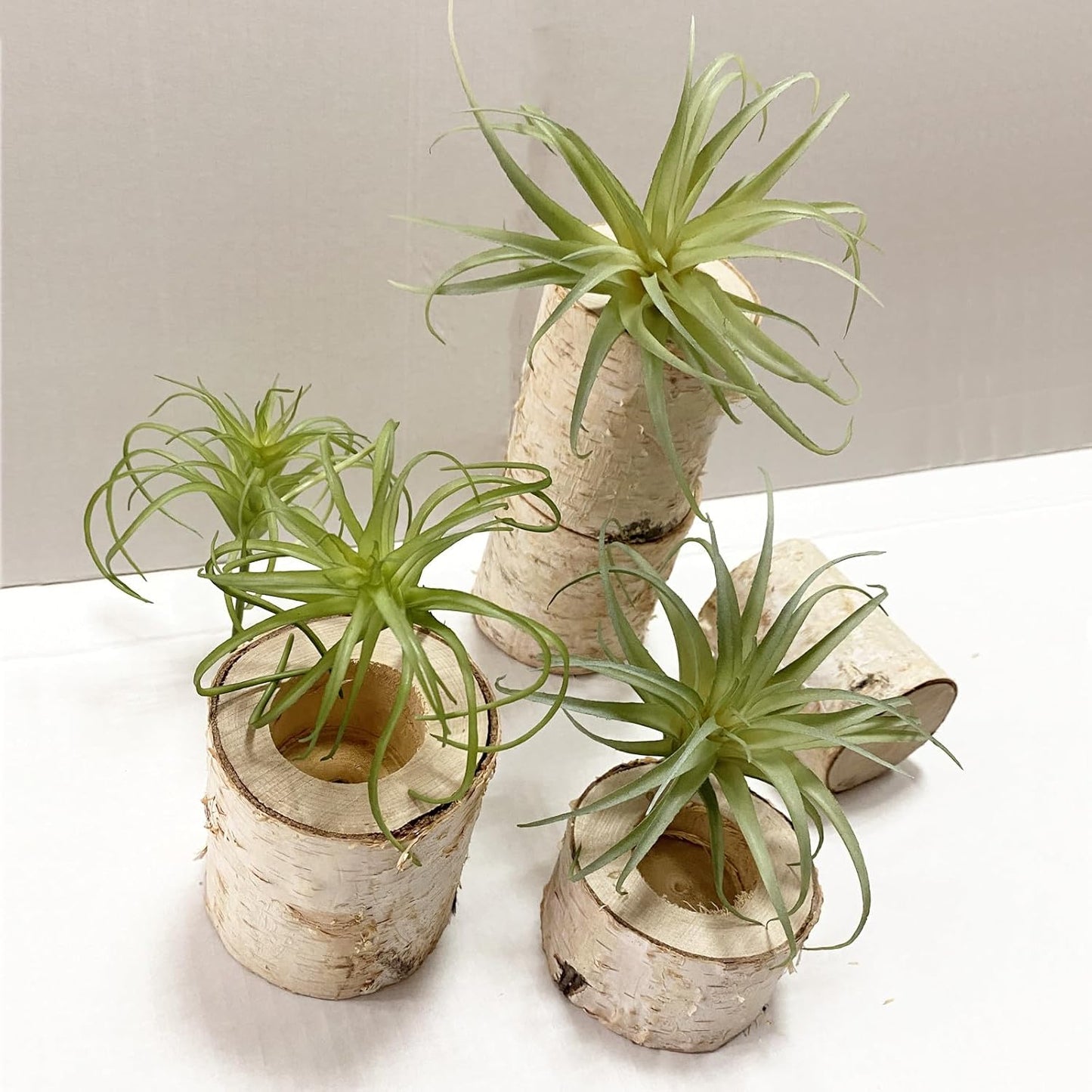 2PCS Artificial Flocking Tillandsia Air Plants Faux Succulents Bromeliads for Indoor/Outdoor Garden and Home Decor, Terrarium Decorations, Arrangements, Office, and Displays(Small)