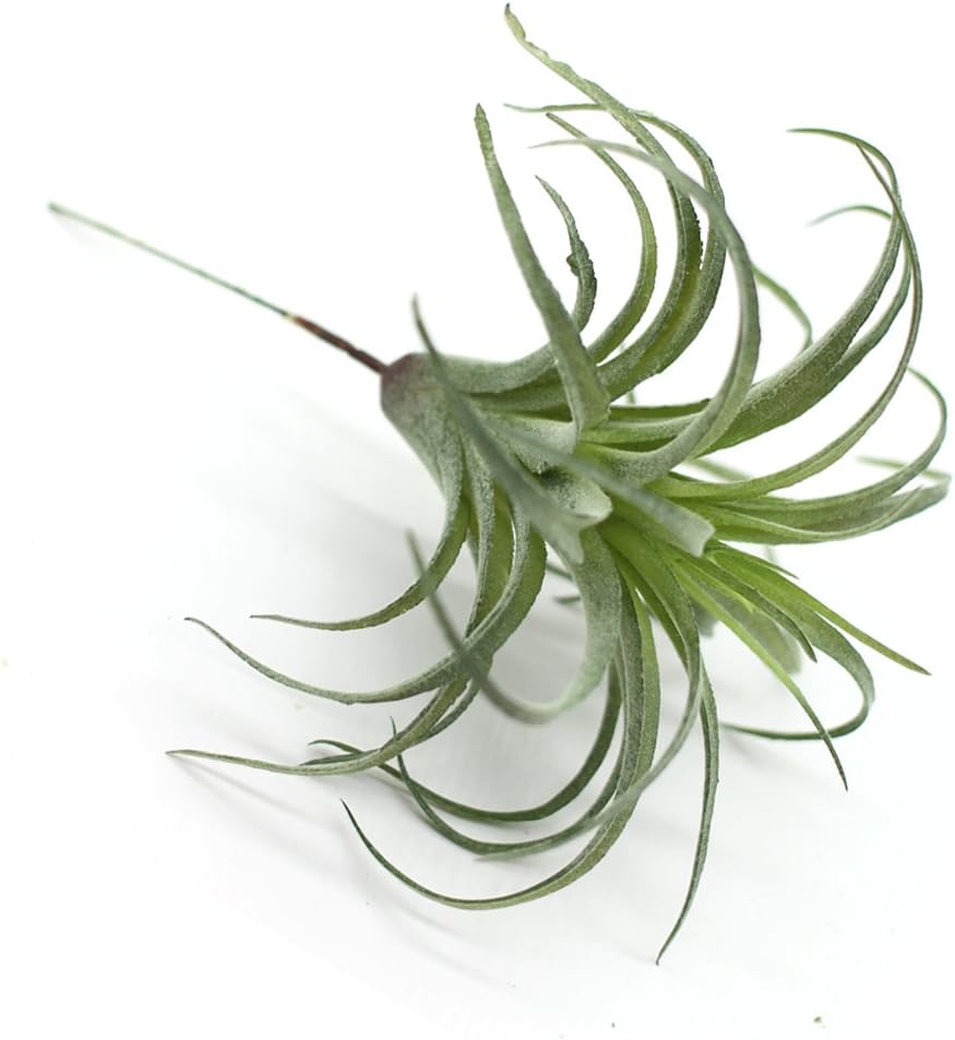 2PCS Artificial Flocking Tillandsia Air Plants Faux Succulents Bromeliads for Indoor/Outdoor Garden and Home Decor, Terrarium Decorations, Arrangements, Office, and Displays(Small)