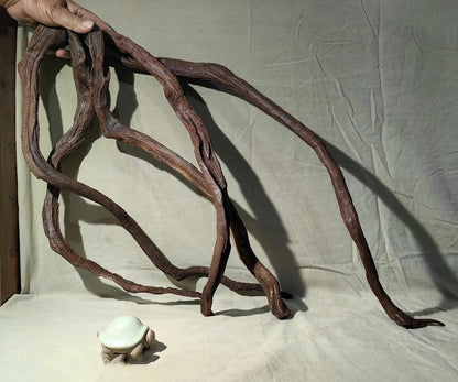 Aquarium Driftwood Branches,2.2lb 9-14inch Long Driftwood for Aquarium Reptile Driftwood Branches Log Natural Driftwood for Aquarium Reptile Branches