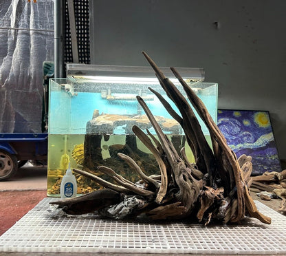 Aquarium Driftwood Branches,2.2lb 9-14inch Long Driftwood for Aquarium Reptile Driftwood Branches Log Natural Driftwood for Aquarium Reptile Branches