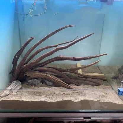 Aquarium Driftwood Branches,2.2lb 9-14inch Long Driftwood for Aquarium Reptile Driftwood Branches Log Natural Driftwood for Aquarium Reptile Branches