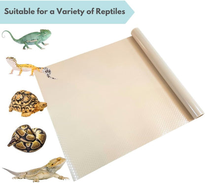 Tank Liner, 17.7" x 59", Bearded Dragon Gecko, Turquoise