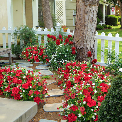 18'' Artificial Geraniums Flowers for Outdoors Decor, Red