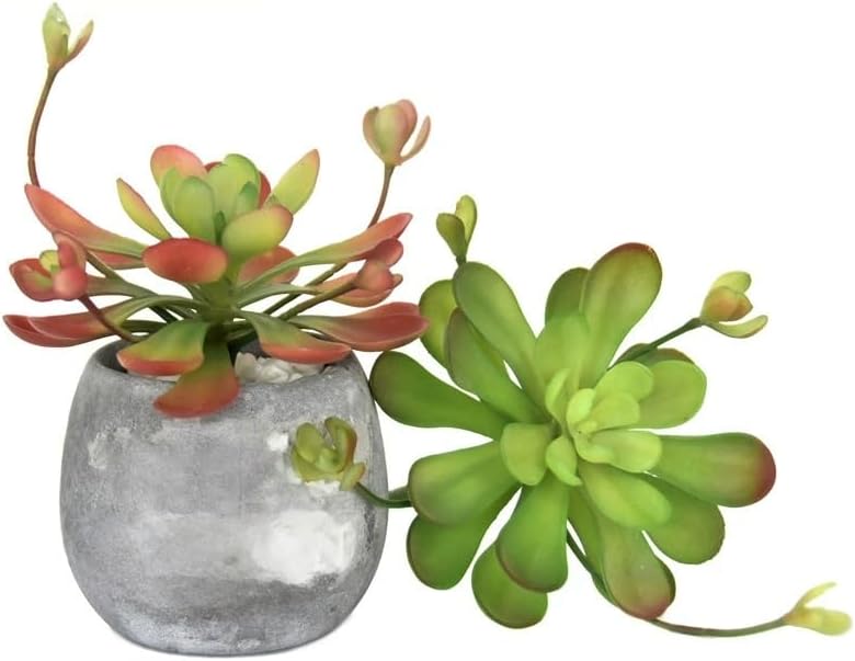 3 Pieces Artificial Cactus Plants Outdoor,Mini Fake Succulents,Plastic Plant Mini Cactus Christmas Tree for Bathroom Decorations,Kitchen Bouquet Garden & Outdoor Home Décor (Wispy)