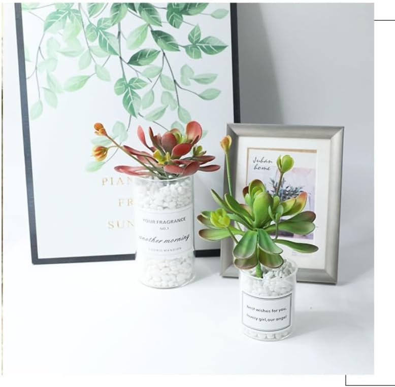 3 Pieces Artificial Cactus Plants Outdoor,Mini Fake Succulents,Plastic Plant Mini Cactus Christmas Tree for Bathroom Decorations,Kitchen Bouquet Garden & Outdoor Home Décor (Wispy)