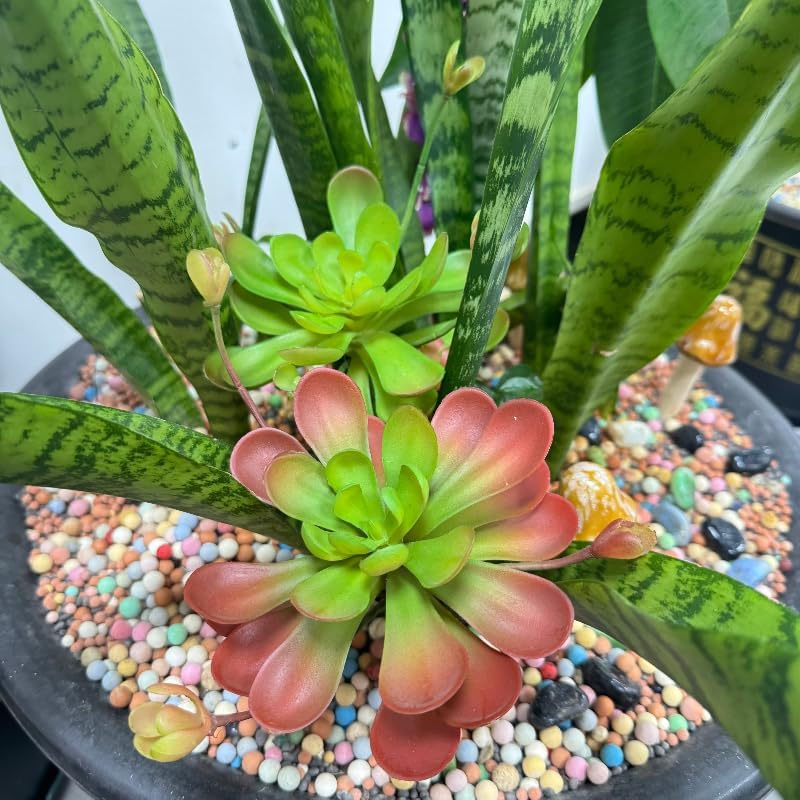 3 Pieces Artificial Cactus Plants Outdoor,Mini Fake Succulents,Plastic Plant Mini Cactus Christmas Tree for Bathroom Decorations,Kitchen Bouquet Garden & Outdoor Home Décor (Wispy)