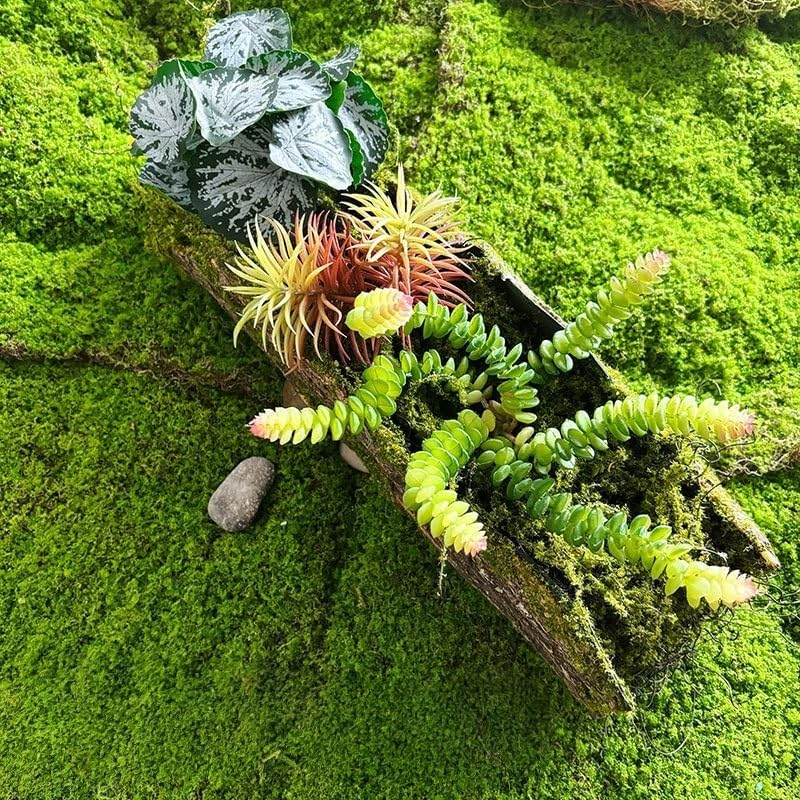 3 Pieces Artificial Cactus Plants Outdoor,Mini Fake Succulents,Plastic Plant Mini Cactus Christmas Tree for Bathroom Decorations,Kitchen Bouquet Garden & Outdoor Home Décor (Wispy)