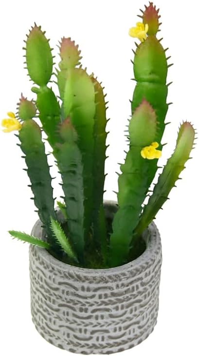 3 Pieces Artificial Cactus Plants Outdoor,Mini Fake Succulents,Plastic Plant Mini Cactus Christmas Tree for Bathroom Decorations,Kitchen Bouquet Garden & Outdoor Home Décor (Wispy)
