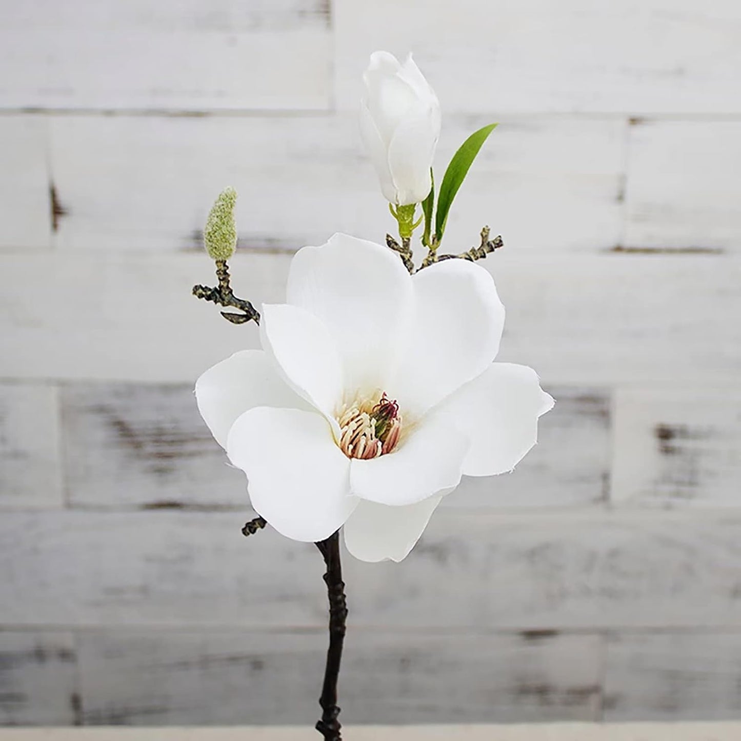 5 Pack Artificial Magnolia Flowers Realistic Silk Magnolia with Green Leaves Real Touch Magnolia Bouquet for Wedding Home Office Table Centerpiece Decor