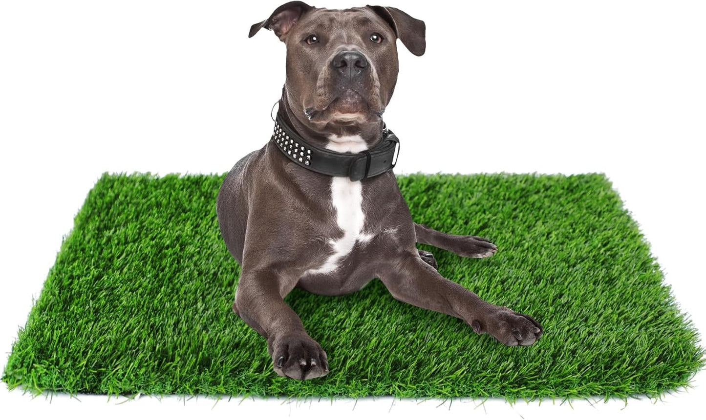 GLOBREEN 34" x 23" Fake Grass Pee Pad for Dogs Potty Training Turf Pets Mat - Indoor Outdoor Use