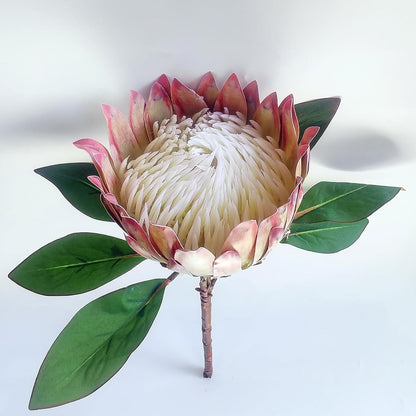 1 Pcs 55 CM The King Protea (Protea Cynaroides) Artificial Flowers Plants for Home Garden Wedding Party Decoration (Beige)