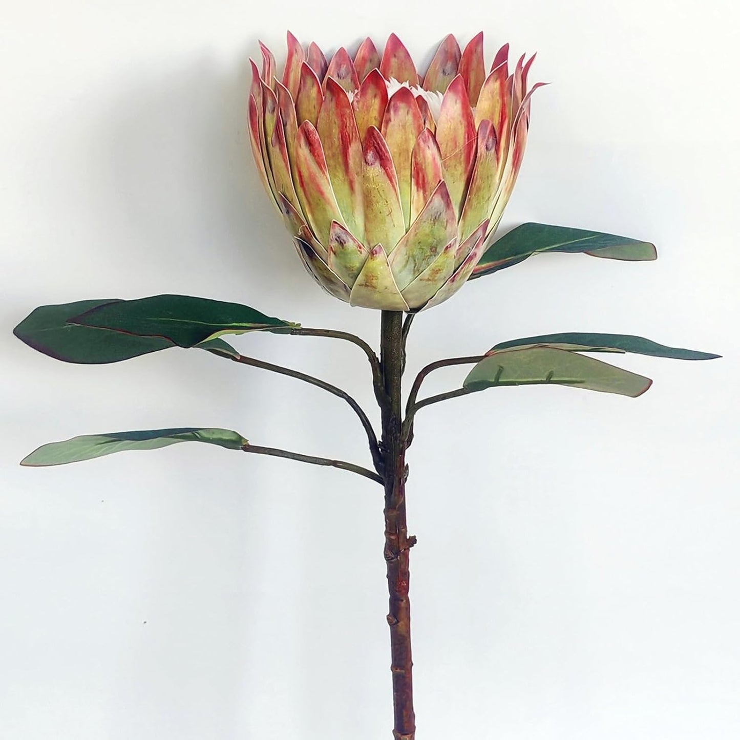 1 Pcs 55 CM The King Protea (Protea Cynaroides) Artificial Flowers Plants for Home Garden Wedding Party Decoration (Beige)