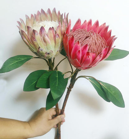 1 Pcs 55 CM The King Protea (Protea Cynaroides) Artificial Flowers Plants for Home Garden Wedding Party Decoration (Beige)