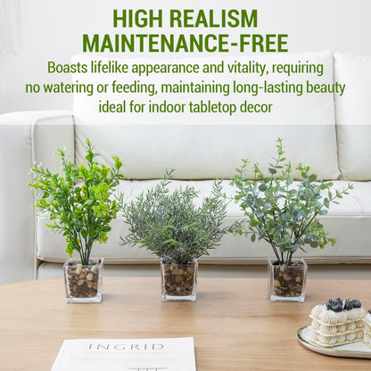 MyGift Artificial Rosemary Eucalyptus and Boxwood Plants Potted in Clear Glass Square Pots, Assorted Faux Greenery Indoor Home Table Centerpiece Office Desk Decor, 3 Piece Set