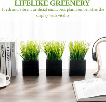 MyGift Artificial Rosemary Eucalyptus and Boxwood Plants Potted in Clear Glass Square Pots, Assorted Faux Greenery Indoor Home Table Centerpiece Office Desk Decor, 3 Piece Set