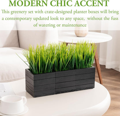 MyGift Artificial Rosemary Eucalyptus and Boxwood Plants Potted in Clear Glass Square Pots, Assorted Faux Greenery Indoor Home Table Centerpiece Office Desk Decor, 3 Piece Set