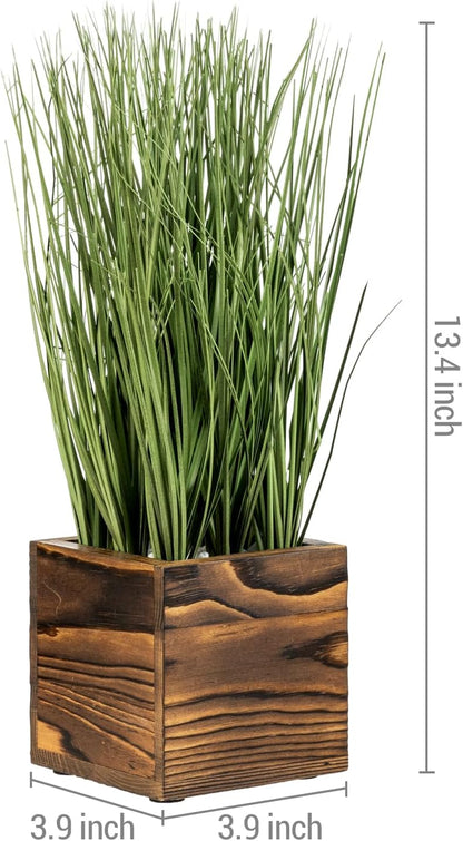 MyGift Artificial Rosemary Eucalyptus and Boxwood Plants Potted in Clear Glass Square Pots, Assorted Faux Greenery Indoor Home Table Centerpiece Office Desk Decor, 3 Piece Set