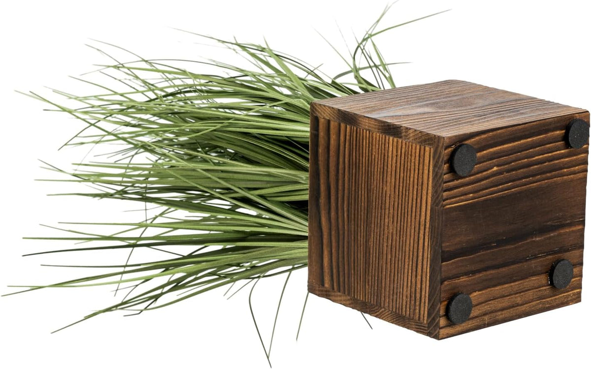 MyGift Artificial Rosemary Eucalyptus and Boxwood Plants Potted in Clear Glass Square Pots, Assorted Faux Greenery Indoor Home Table Centerpiece Office Desk Decor, 3 Piece Set