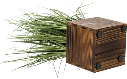 MyGift Artificial Rosemary Eucalyptus and Boxwood Plants Potted in Clear Glass Square Pots, Assorted Faux Greenery Indoor Home Table Centerpiece Office Desk Decor, 3 Piece Set