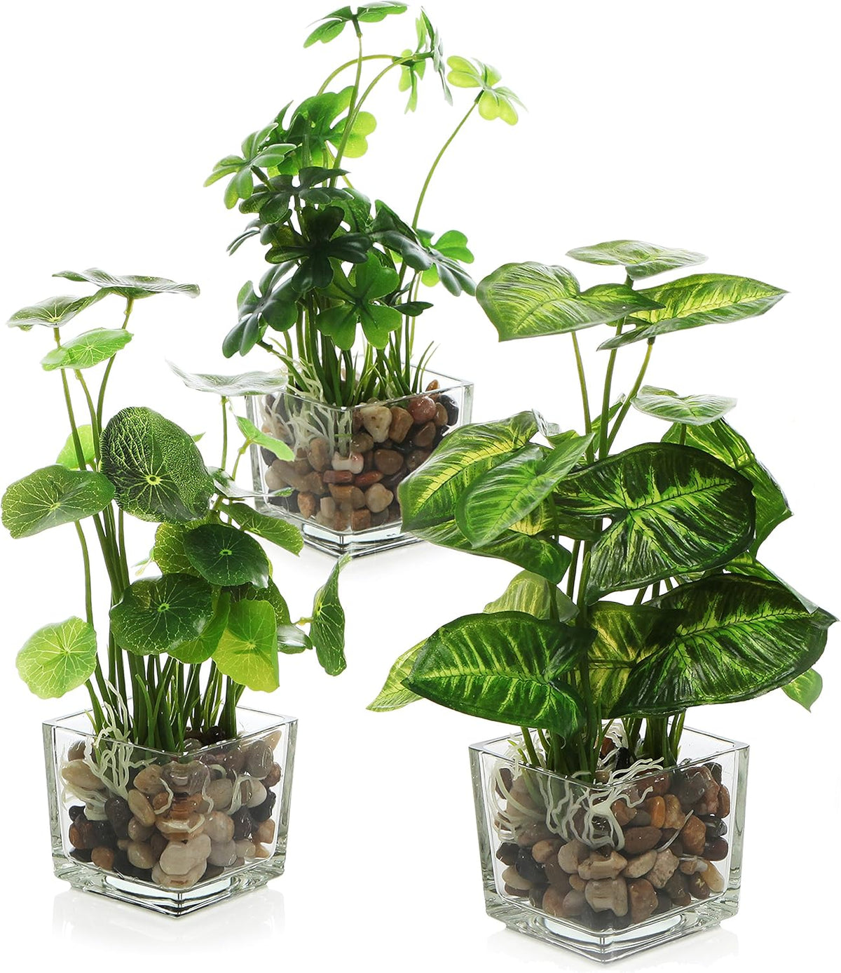 MyGift Artificial Rosemary Eucalyptus and Boxwood Plants Potted in Clear Glass Square Pots, Assorted Faux Greenery Indoor Home Table Centerpiece Office Desk Decor, 3 Piece Set