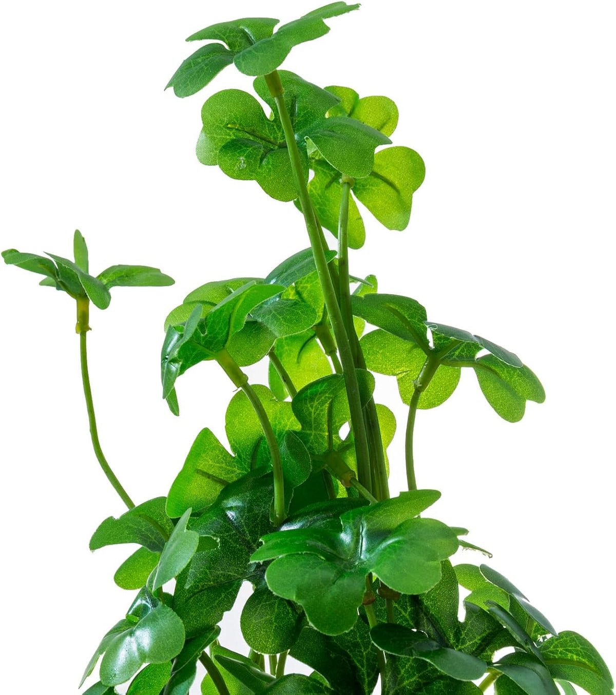 MyGift Artificial Rosemary Eucalyptus and Boxwood Plants Potted in Clear Glass Square Pots, Assorted Faux Greenery Indoor Home Table Centerpiece Office Desk Decor, 3 Piece Set