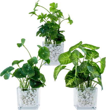 MyGift Artificial Rosemary Eucalyptus and Boxwood Plants Potted in Clear Glass Square Pots, Assorted Faux Greenery Indoor Home Table Centerpiece Office Desk Decor, 3 Piece Set