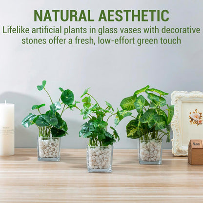 MyGift Artificial Rosemary Eucalyptus and Boxwood Plants Potted in Clear Glass Square Pots, Assorted Faux Greenery Indoor Home Table Centerpiece Office Desk Decor, 3 Piece Set