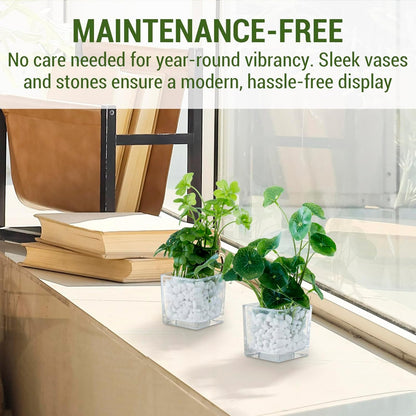 MyGift Artificial Rosemary Eucalyptus and Boxwood Plants Potted in Clear Glass Square Pots, Assorted Faux Greenery Indoor Home Table Centerpiece Office Desk Decor, 3 Piece Set