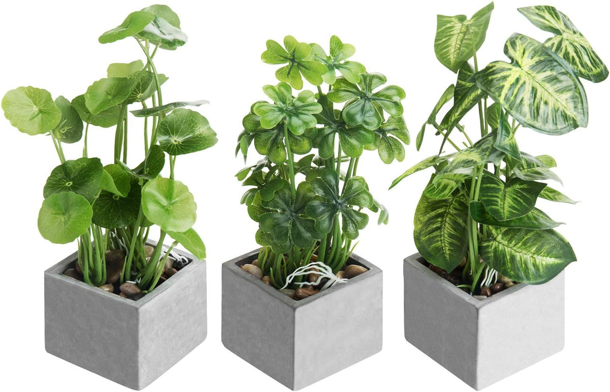 MyGift Artificial Rosemary Eucalyptus and Boxwood Plants Potted in Clear Glass Square Pots, Assorted Faux Greenery Indoor Home Table Centerpiece Office Desk Decor, 3 Piece Set