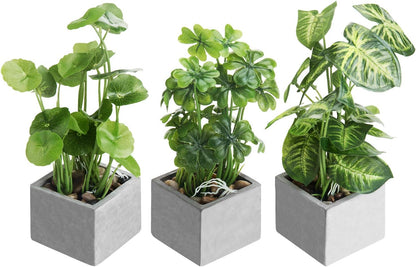 MyGift Artificial Rosemary Eucalyptus and Boxwood Plants Potted in Clear Glass Square Pots, Assorted Faux Greenery Indoor Home Table Centerpiece Office Desk Decor, 3 Piece Set