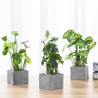 MyGift Artificial Rosemary Eucalyptus and Boxwood Plants Potted in Clear Glass Square Pots, Assorted Faux Greenery Indoor Home Table Centerpiece Office Desk Decor, 3 Piece Set