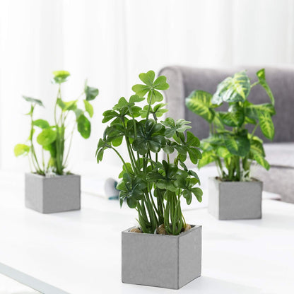 MyGift Artificial Rosemary Eucalyptus and Boxwood Plants Potted in Clear Glass Square Pots, Assorted Faux Greenery Indoor Home Table Centerpiece Office Desk Decor, 3 Piece Set